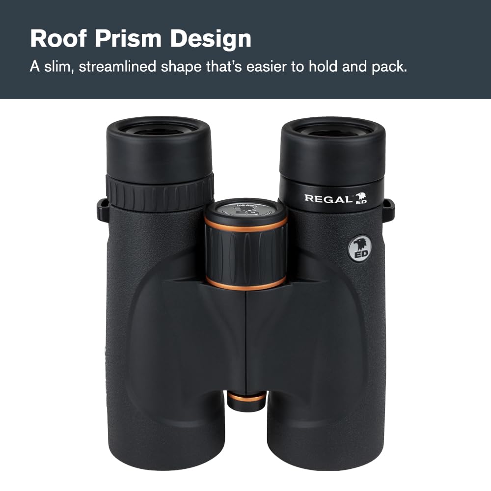 Amazon.com : Celestron – Regal ED 8x42 Binoculars – Premium Optics